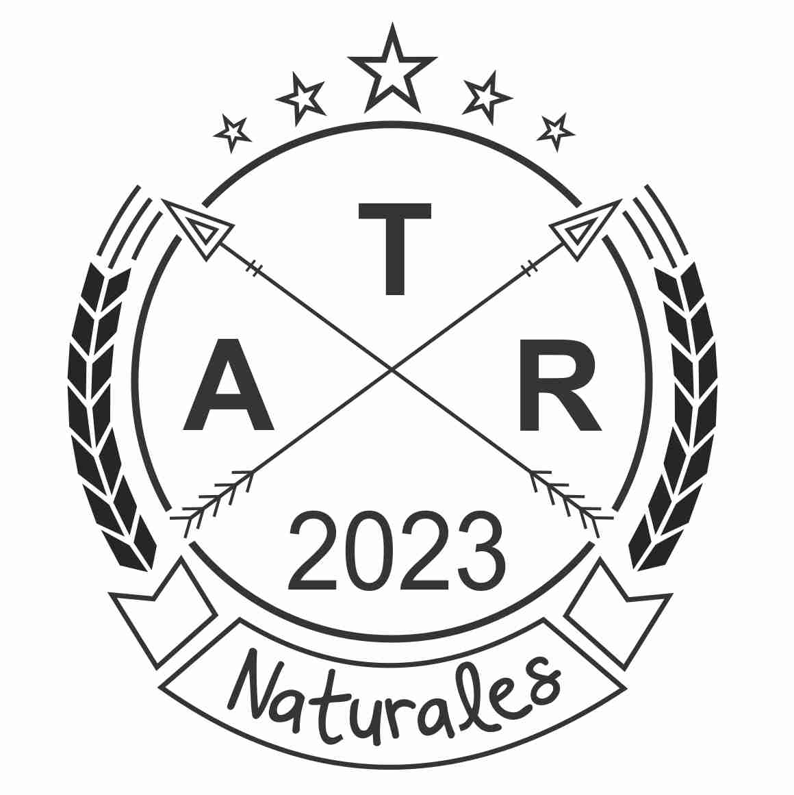 Logo 13